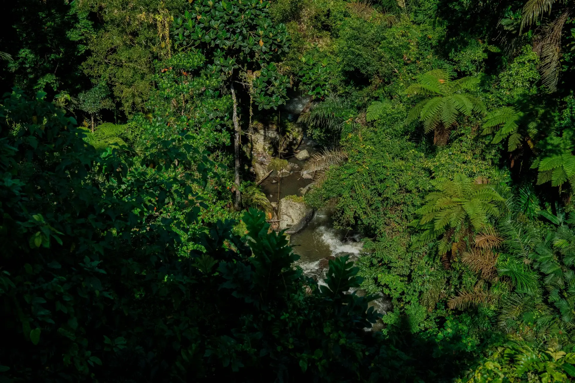 Surroundings