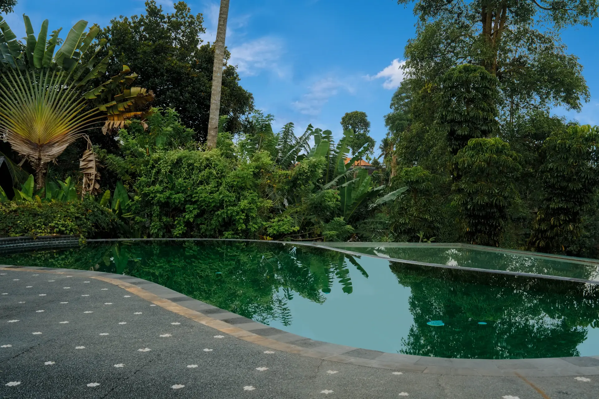 Gardenia Swimming Pool